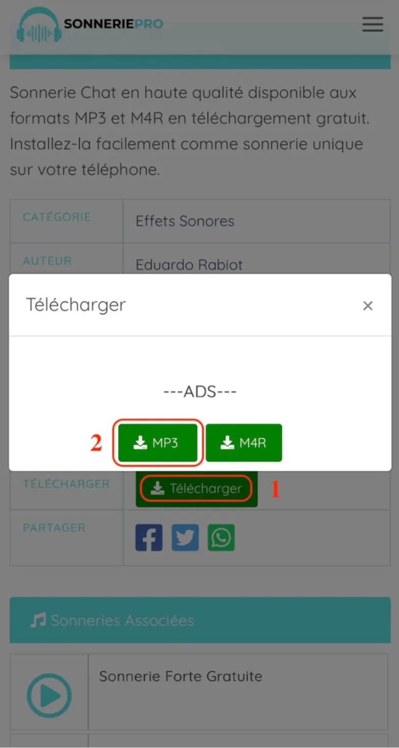 Étape 1 : Télécharger un fichier MP3 depuis SonneriePro.