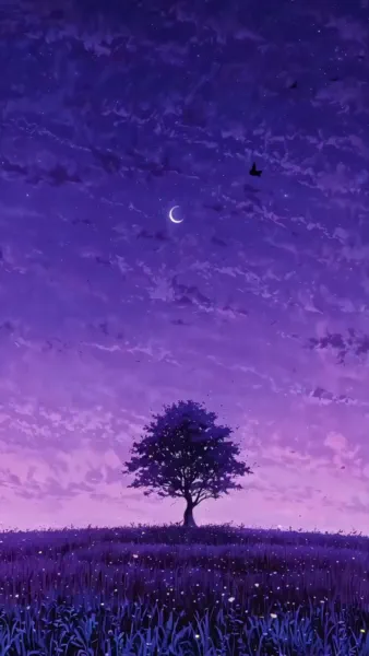 Fonds d’écran Animés Anime