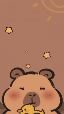 Fonds d’écran Capybaras