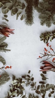 Fonds d’écran de neige de Noël