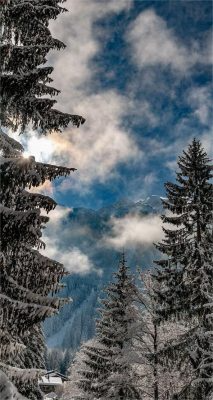 Fonds d’écran de neige de Noël