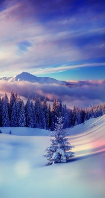 Fonds d’écran d’hiver