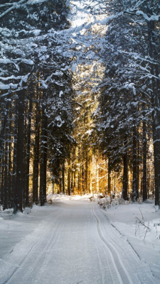 Fonds d’écran d’hiver