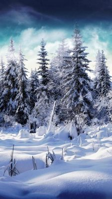 Fonds d’écran d’hiver