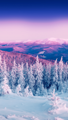 Fonds d’écran d’hiver