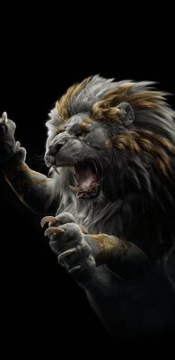 Fonds d’écran Lions