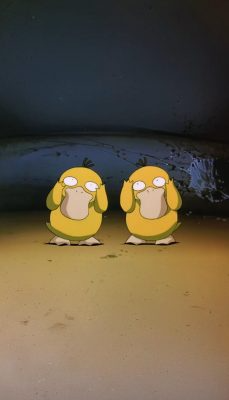 Fonds d’écran Pokemon