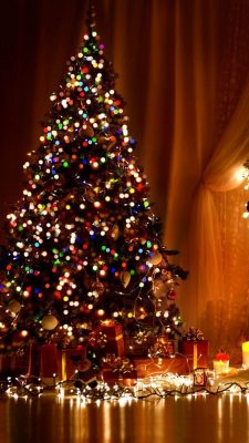 Fonds d’écran sapin de Noël