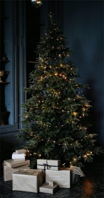 Fonds d’écran sapin de Noël