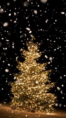 Fonds d’écran sapin de Noël