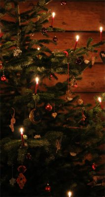 Fonds d’écran sapin de Noël