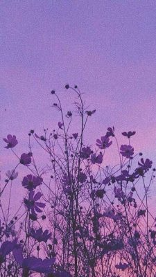 Fonds d’écran violets