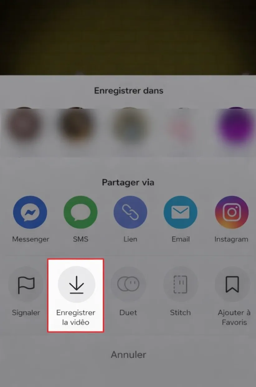 Recherchez la vidéo contenant le son que vous aimez, puis enregistrez-la sur votre téléphone.